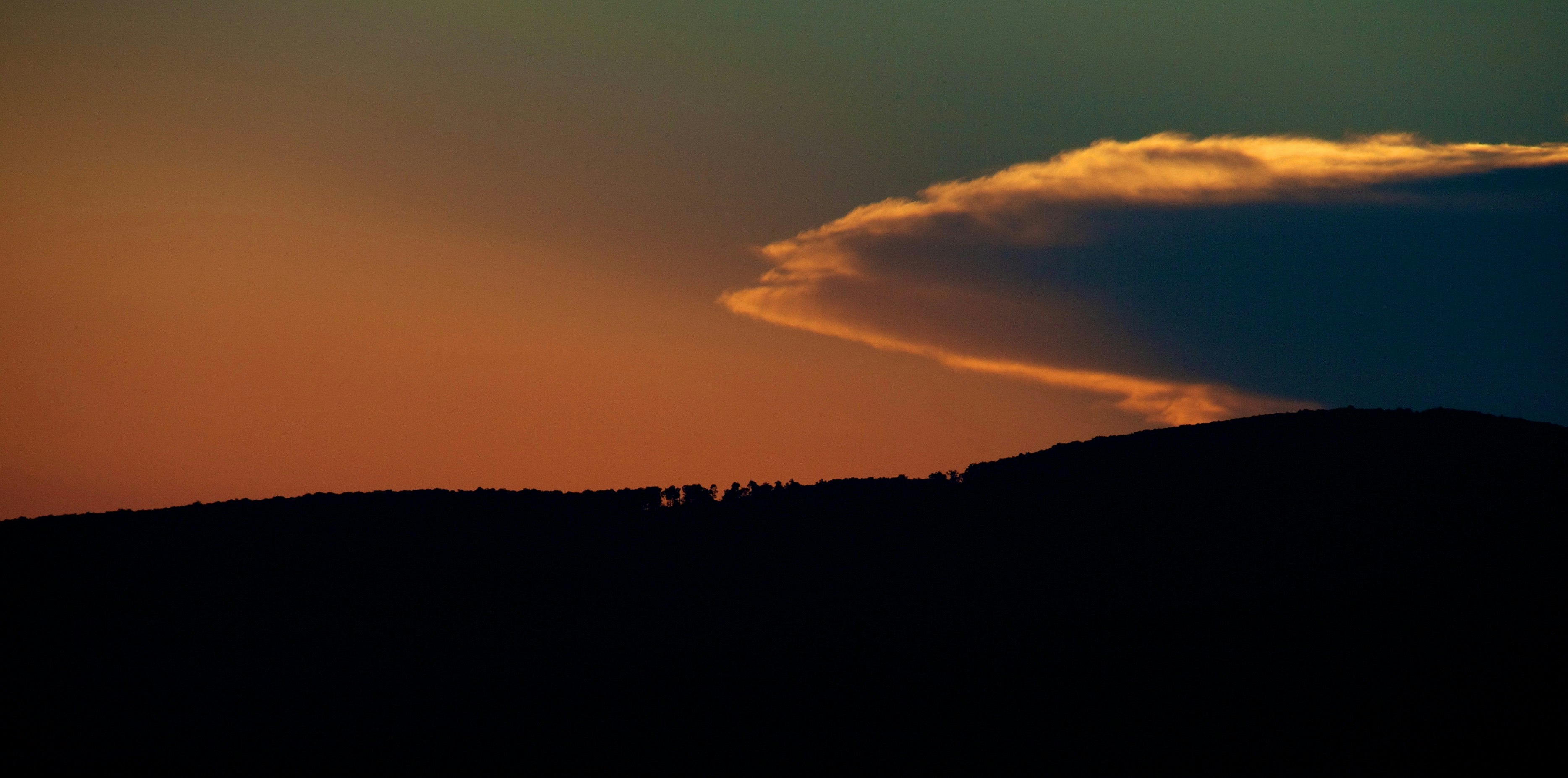 green trees under white clouds during golden hour